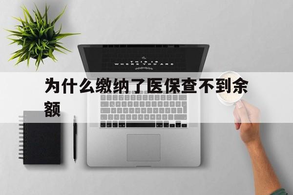 普洱最新为什么缴纳了医保查不到余额方法分析(最方便真实的普洱医保交了费怎么查不到方法)